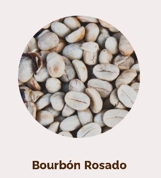 Café bourbon rosado precio